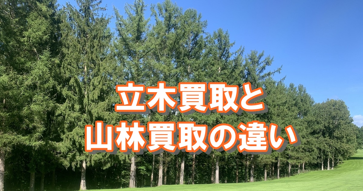 立木買取と山林買取の違い、丸太を供給してます