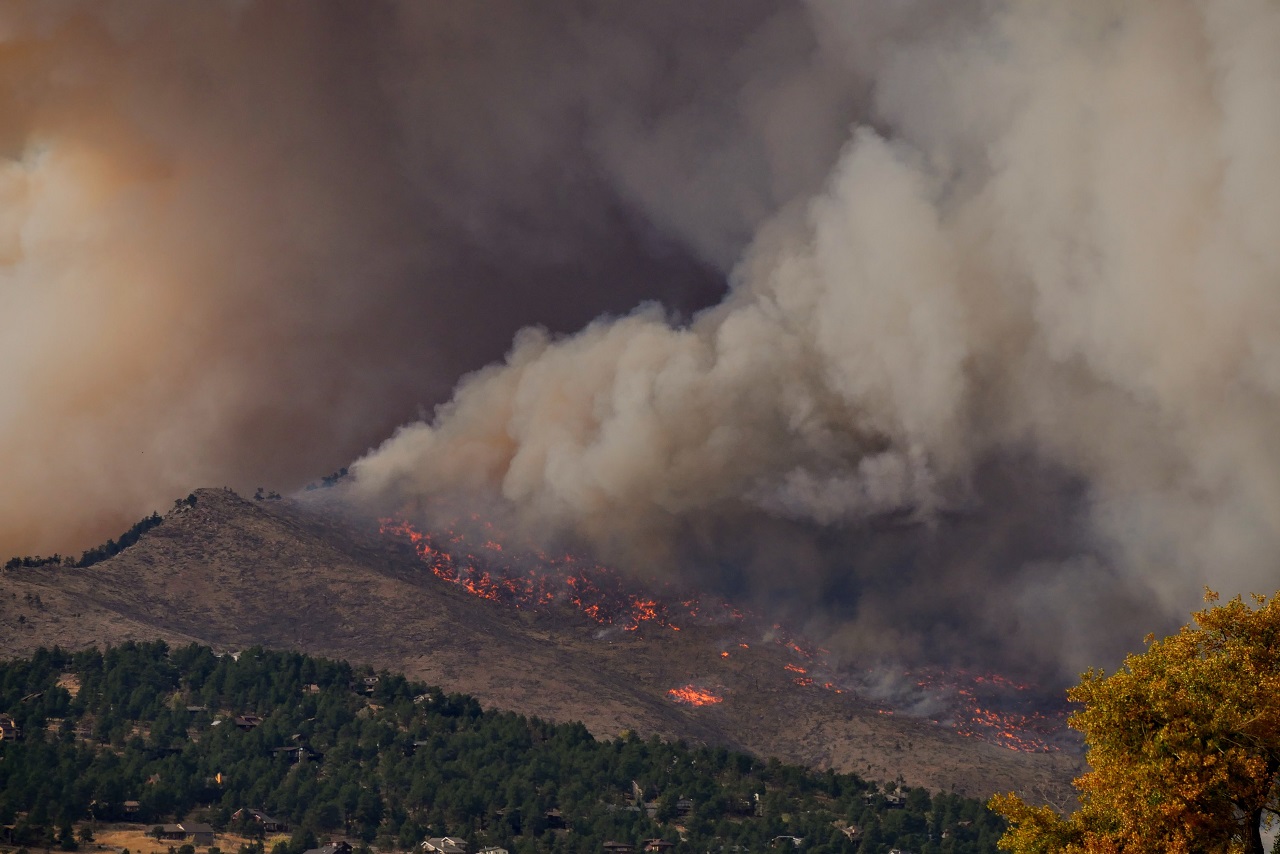 山火事は広範囲に損害を引き起こし莫大な損失となります。