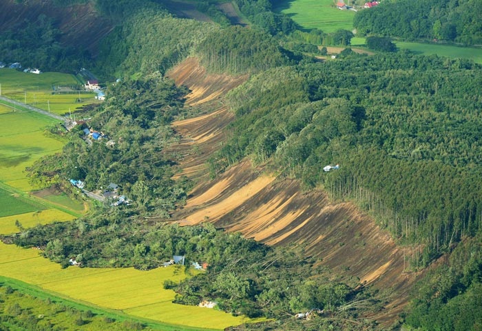 大雨や地震による土砂崩れによって、育てた木や投資した林道を失うリスクがある。