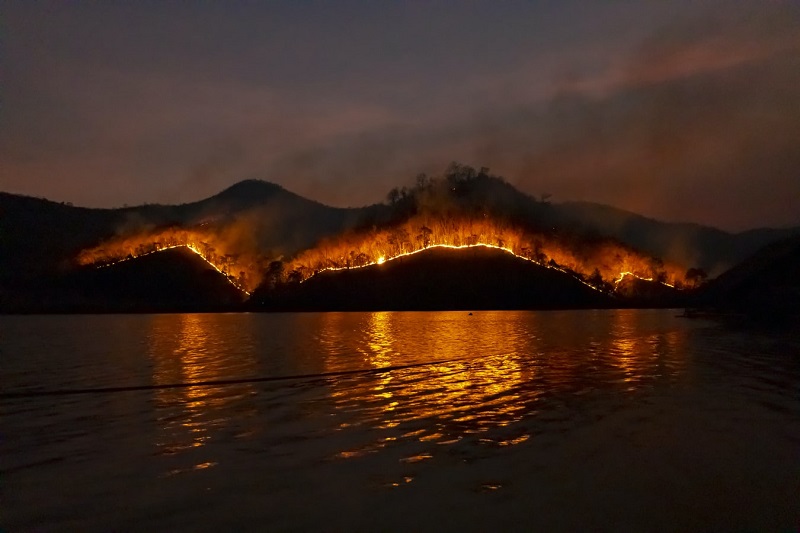 山火事は発生すると被害が広範囲にわたります。